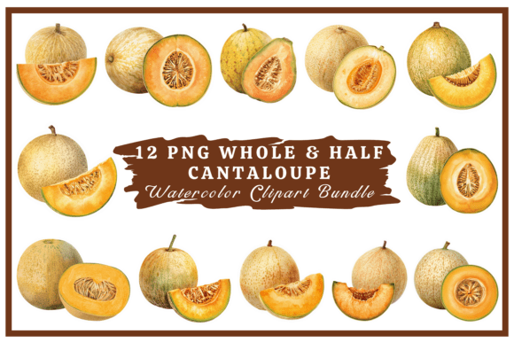 Cantaloupe Watercolor Clipart Bundle 27 for Creative Projects