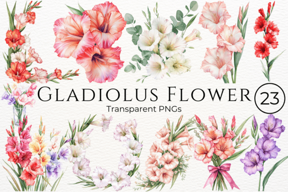 Gladiolus Flower Watercolor Clipart for Designers
