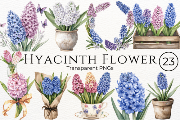Hyacinth Flower Watercolor Cliparts for Creatives