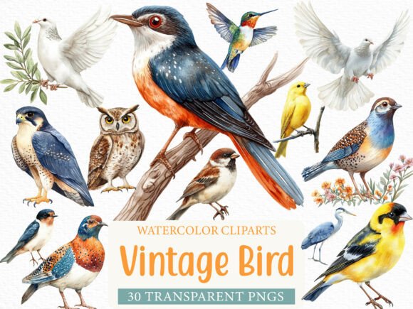 Watercolor Vintage Bird Clipart Bundle: A Delicate Balance of Charm and Utility